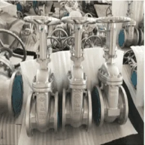 Gate Valve Class 300 Gate Valve Class 600 Gate Valve